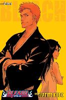 Book Cover for Bleach (2-in-1 Edition), Vol. 25 by Tite Kubo