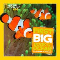 Book Cover for Little Kids First Big Book of The Ocean by Catherine D. Hughes, National Geographic Kids