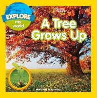 Book Cover for A Tree Grows Up by Marfe Ferguson Delano
