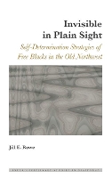 Book Cover for Invisible in Plain Sight by Jill E Rowe