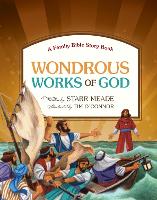 Book Cover for Wondrous Works of God by Starr Meade