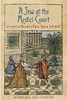 Book Cover for A Jew at the Medici Court by Edward L. Goldberg