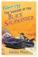 Book Cover for The Mystery of the Black Salamander by Helen Moss