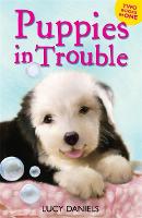 Animal Ark: Puppies in Trouble Puppies in the Pantry & Puppy in a Puddle