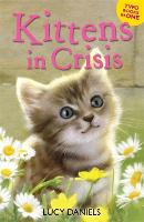 Animal Ark: Kittens in Crisis Tabby in the Tub & Cats in the Caravan