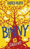 Book Cover for Binny in Secret by Hilary McKay