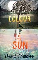 Book Cover for The Colour of the Sun by David Almond