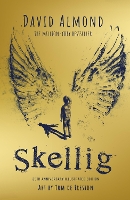 Book Cover for Skellig: the 25th anniversary illustrated edition by David Almond