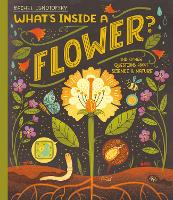 Book Cover for What's Inside a Flower? by Rachel Ignotofsky