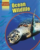 Book Cover for Ocean Wildlife by Sonya Newland