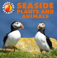 Book Cover for Seaside Plants and Animals by Clare Hibbert