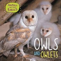 Book Cover for Animals and their Babies: Owls & Owlets by Annabelle Lynch