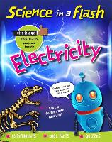 Book Cover for Science in a Flash: Electricity by Georgia Amson-Bradshaw