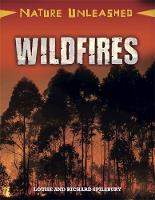 Book Cover for Wildfires by Louise Spilsbury, Richard Spilsbury