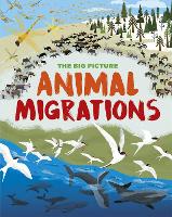 Book Cover for The Big Picture: Animal Migrations by Jon Richards