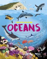 Book Cover for The Big Picture: Oceans by Jon Richards