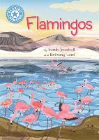 Book Cover for Reading Champion: Flamingos by Sarah Snashall