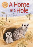 Book Cover for A Home in a Hole by Sue Graves
