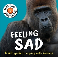 Book Cover for Feeling Sad by Susie Williams