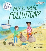 Book Cover for Why Is There Pollution? by Anita Ganeri