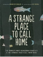 Book Cover for A Strange Place to Call Home by Ed Young, Marilyn Singer