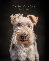 Book Cover for The Year of the Dogs by Vincent J. Musi