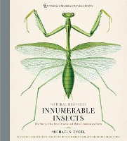 Book Cover for Innumerable Insects by Michael S. Engel