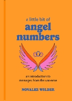 Book Cover for A Little Bit of Angel Numbers by Novalee Wilder