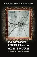 Book Cover for Families in Crisis in the Old South by Loren Schweninger