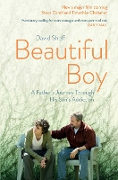 Book Cover for Beautiful Boy A Father's Journey Through His Son's Addiction by David Sheff