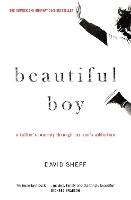 Book Cover for Beautiful Boy by David Sheff