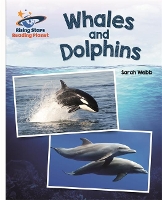 Book Cover for Reading Planet - Whales and Dolphins - White: Galaxy by Sarah Webb