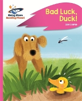 Book Cover for Bad Luck, Duck! by Zoë Clarke