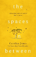 Book Cover for The Spaces In Between by Caroline Jones