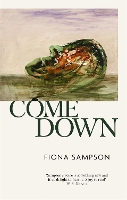 Book Cover for Come Down by Fiona Sampson