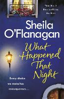 Book Cover for What Happened That Night by Sheila O'Flanagan