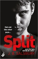 Book Cover for Split by J.B. Salsbury