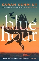 Book Cover for Blue Hour by Sarah Schmidt