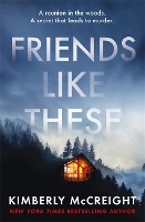 Book Cover for Friends Like These by Kimberly McCreight