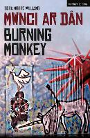 Book Cover for Burning Monkey by Sera Moore Williams