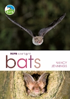 Book Cover for RSPB Spotlight Bats by Nancy Jennings