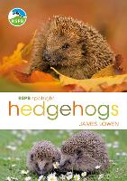 Book Cover for RSPB Spotlight Hedgehogs by James Lowen