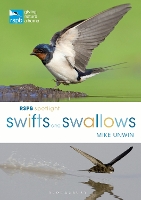 Book Cover for RSPB Spotlight Swifts and Swallows by Mike Unwin