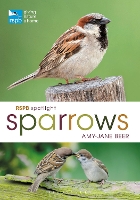 Book Cover for RSPB Spotlight Sparrows by Amy-Jane Beer