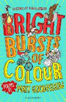Book Cover for Bright Bursts of Colour by Matt Goodfellow