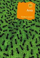 Book Cover for Ants by Richard Jones