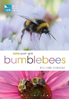 Book Cover for RSPB Spotlight Bumblebees by Richard Comont