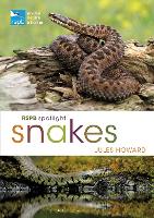 Book Cover for RSPB Spotlight Snakes by Jules Howard