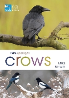 Book Cover for RSPB Spotlight Crows by Mike Unwin