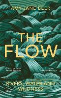 Book Cover for The Flow by Amy-Jane Beer 